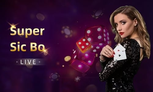 প্রাপ্তবয়স্কদের জন্য casinoapp অ্যাপ ব্যবহারের নির্দেশনা